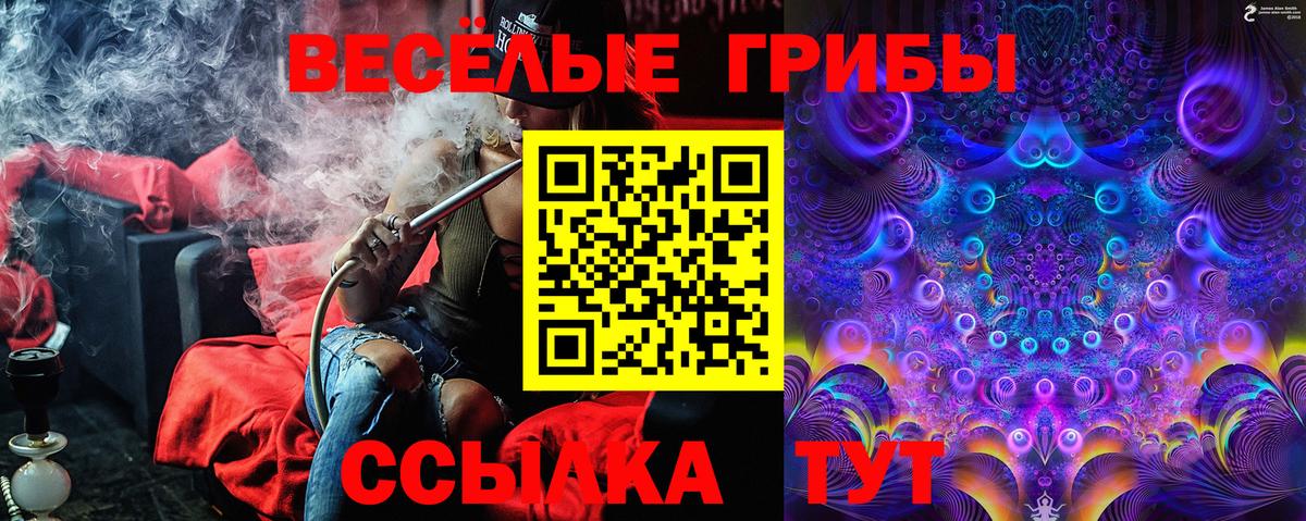 Тамбов  Псилоцибиновые грибы ЛСД  Вход с VPN 
